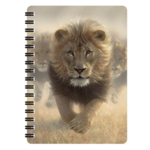 3D notesz - Hím Oroszlán