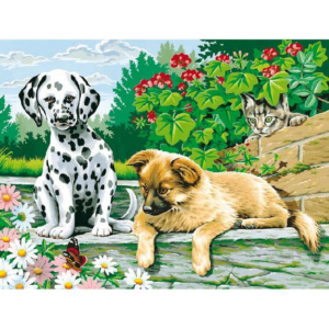 Mammut Festés számok után Háziállatok a kertben, (kezdő) Large (40x30cm)